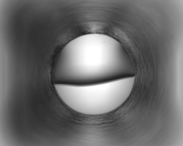 X0000088690461200705311001