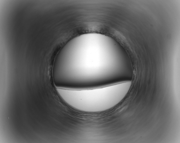 X0000088690462200705311001