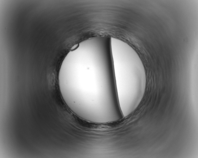 X0000088690463200705311001