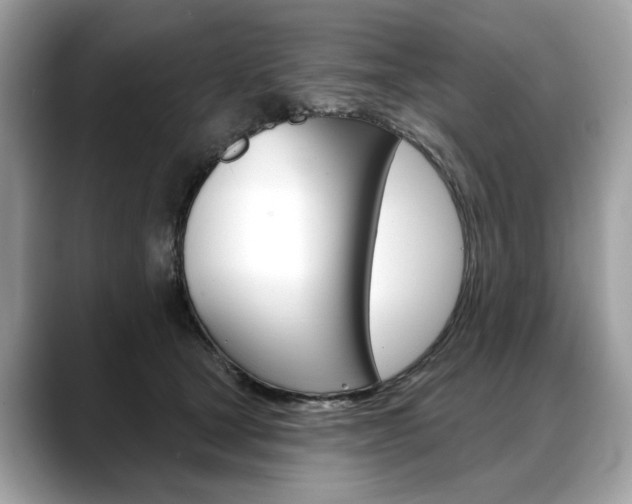 X0000088690465200705311001