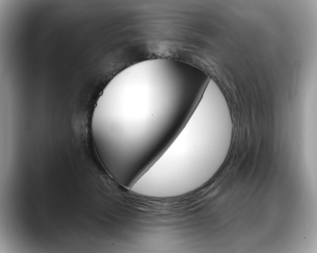 X0000088690466200705311001