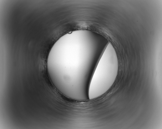 X0000088690467200705311001