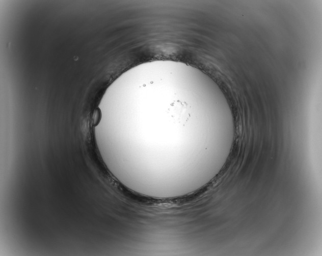 X0000088690468200705311001