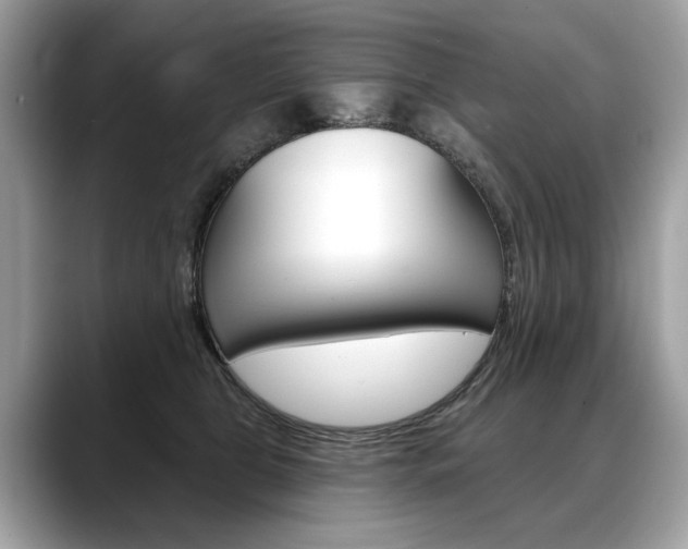 X0000088690469200705311001