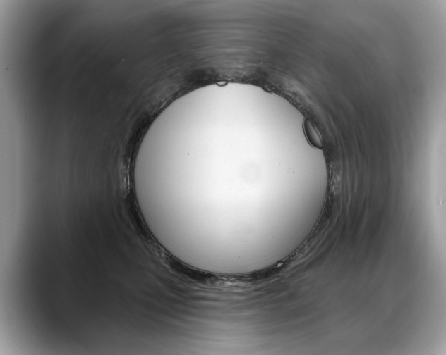 X0000088690471200705311001