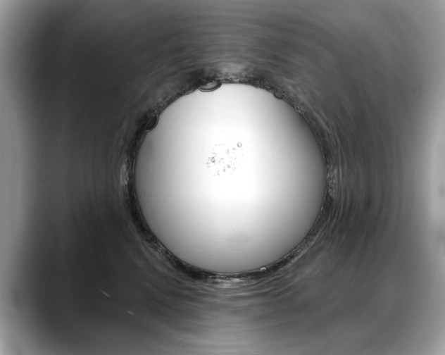 X0000088690472200705311001