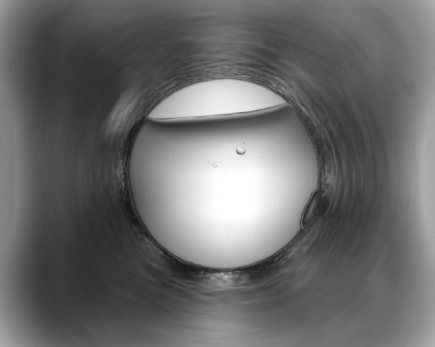 X0000088690473200705311001