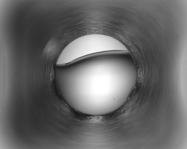 X0000088690474200705311001