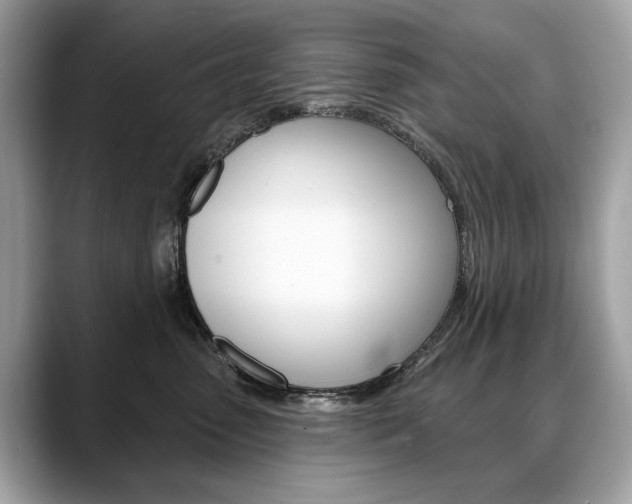X0000088690475200705311001