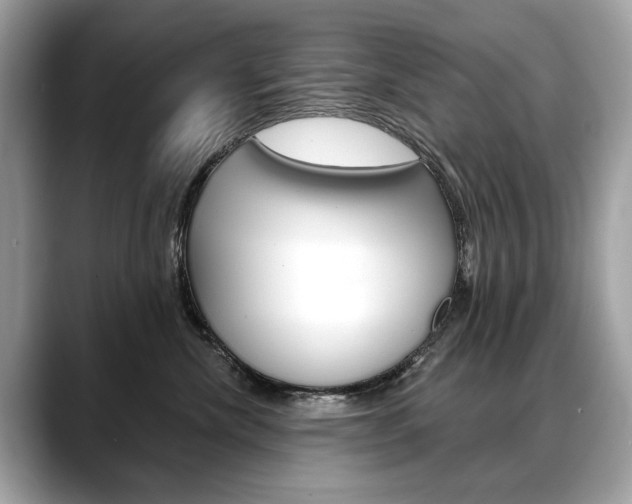 X0000088690476200705311001