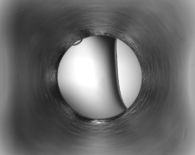 X0000088690477200705311001