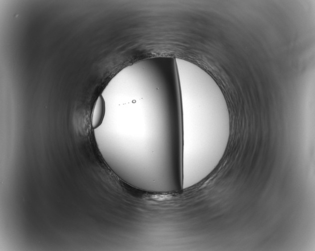 X0000088690478200705311001