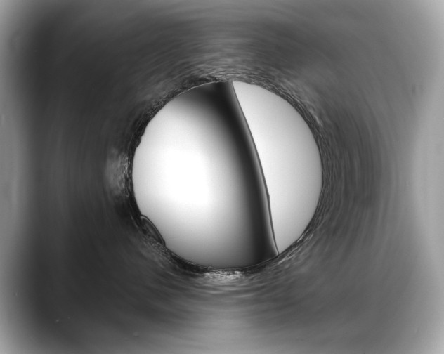 X0000088690480200705311001