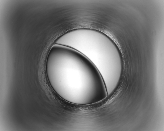 X0000088690481200705311001