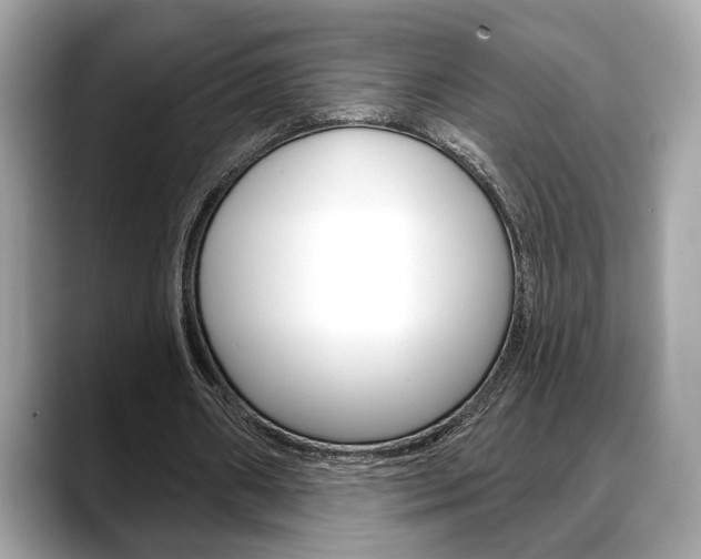 X0000088690482200705311001