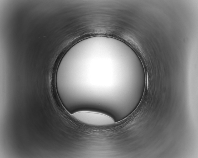 X0000088690483200705311001