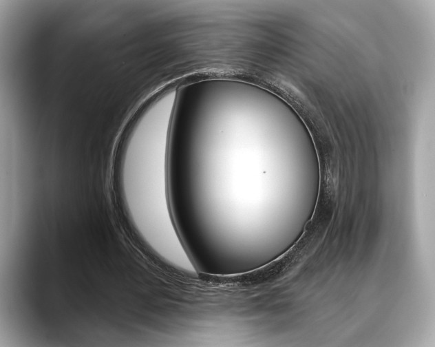 X0000088690484200705311001