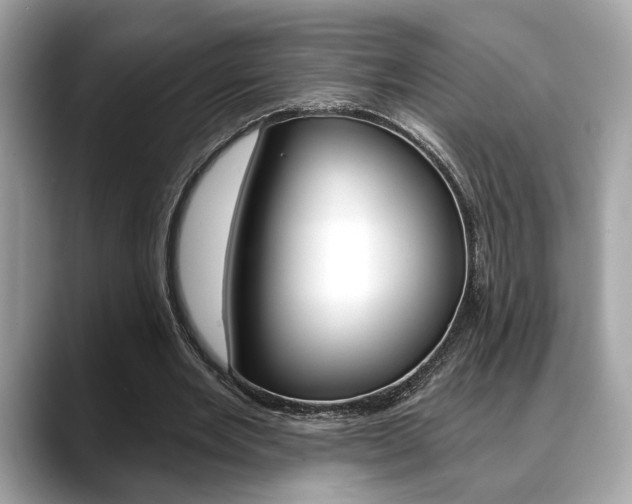 X0000088690485200705311001