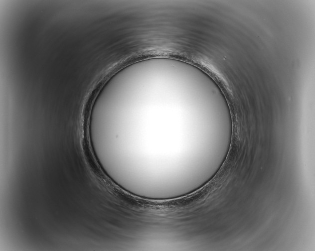 X0000088690486200705311001