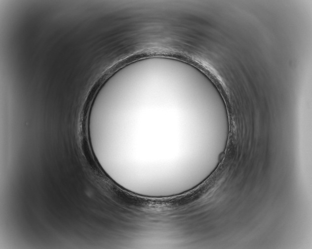 X0000088690487200705311001