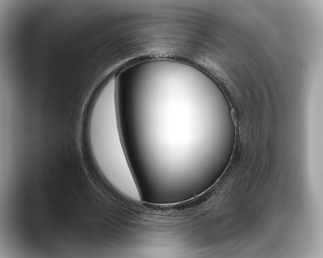 X0000088690488200705311001