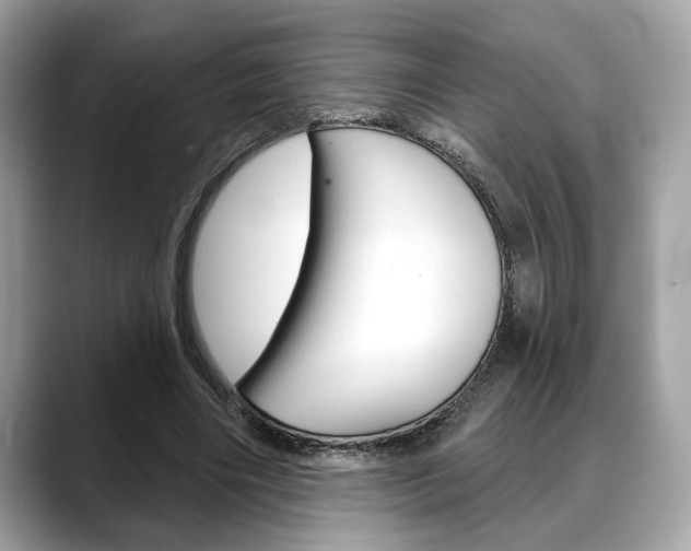 X0000088690490200705311000