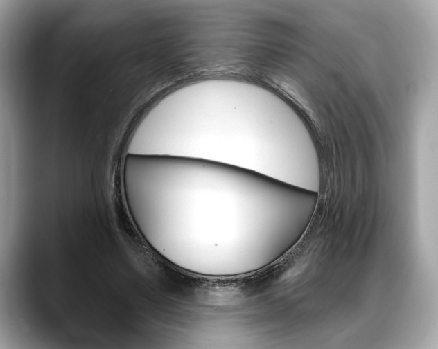 X0000088690491200705311000