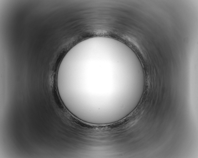 X0000088690495200705311000