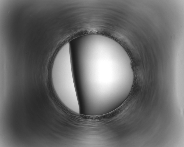 X0000088690496200705311000