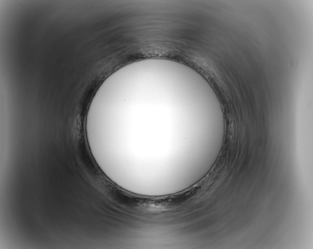 X0000088690498200705311000