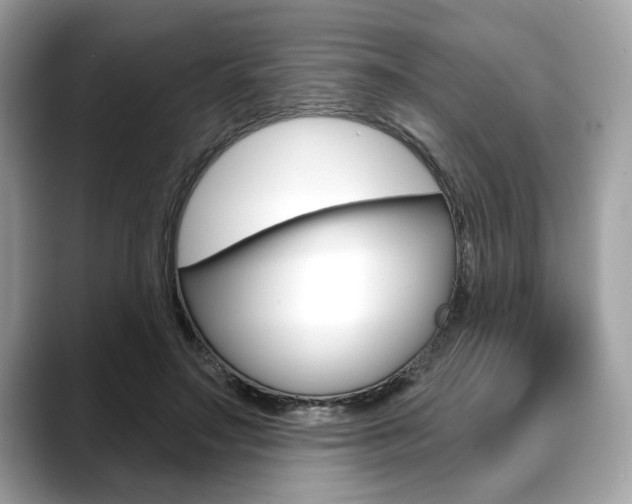 X0000088690499200705311000