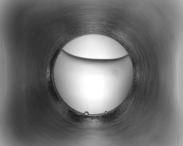 X0000088690502200705311000