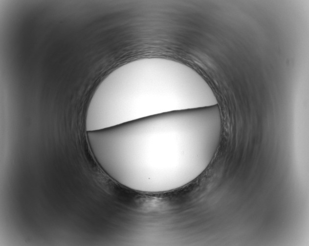 X0000088690507200705311000