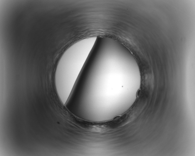 X0000088690508200705311000