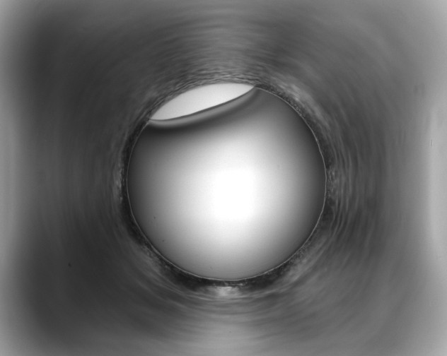 X0000088690509200705311000