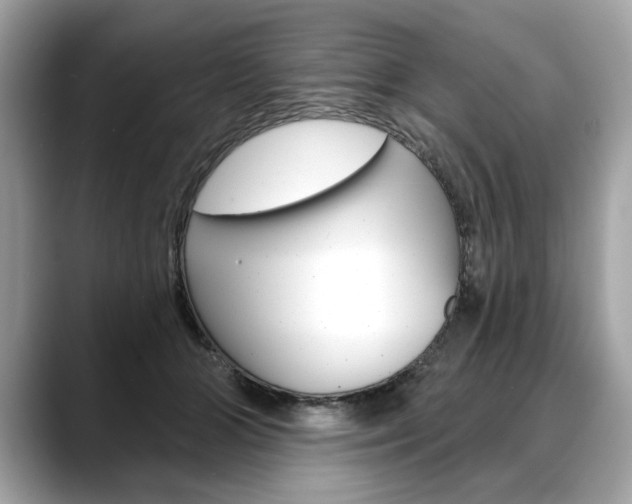 X0000088690510200705311000