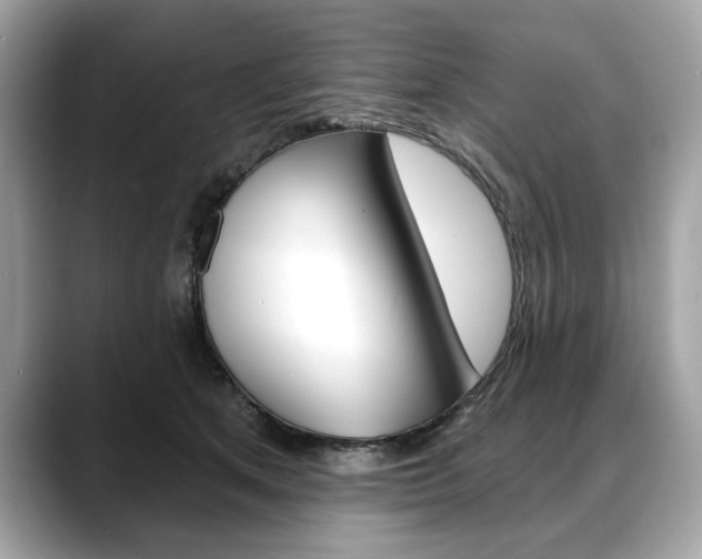 X0000088690513200705311000