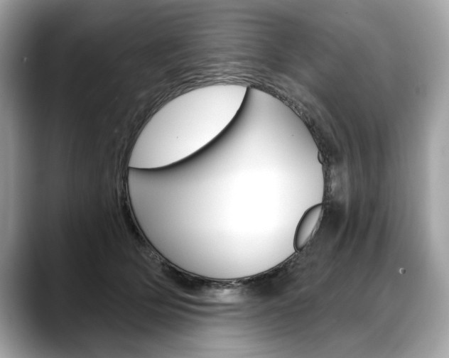 X0000088690514200705311000