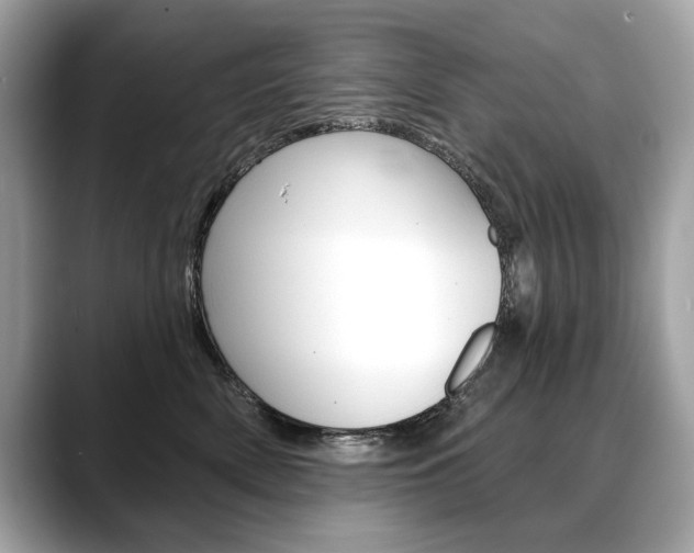 X0000088690522200705311000