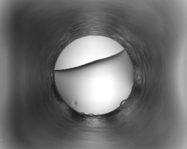 X0000088690523200705311000