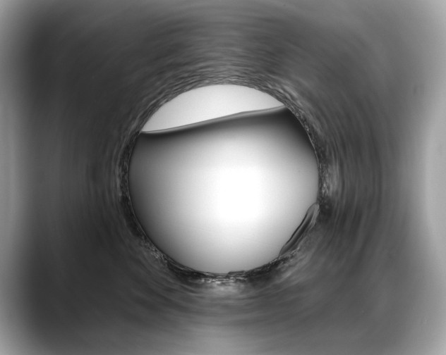X0000088690524200705311000