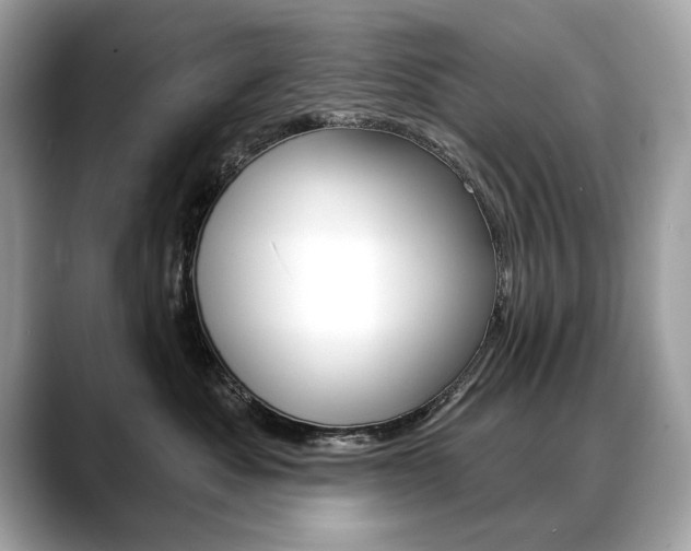 X0000088690525200705311000