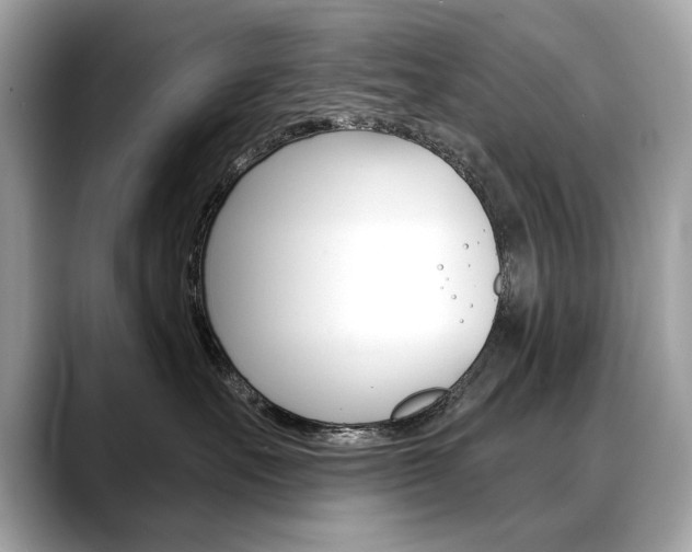 X0000088690527200705311000