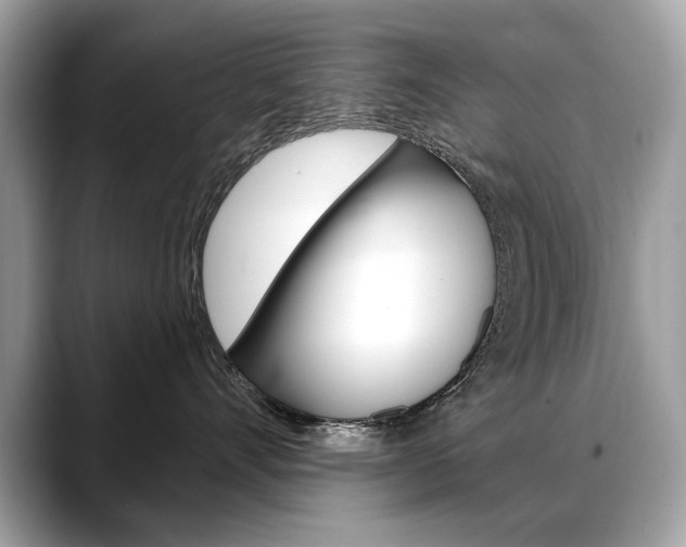 X0000088690528200705311000