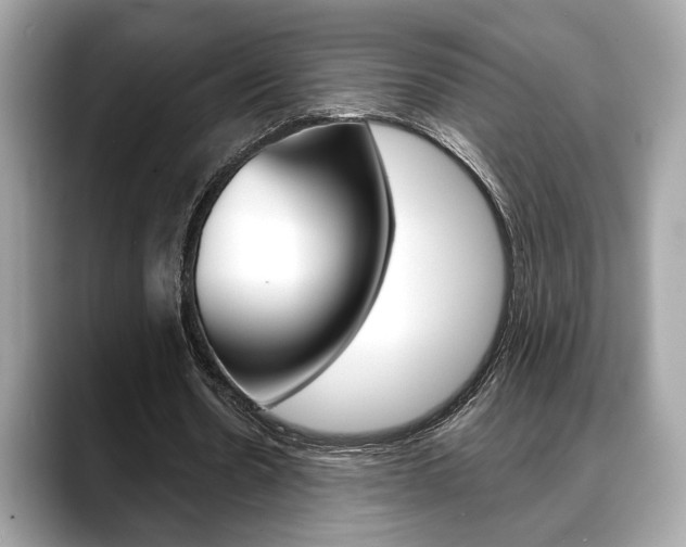 X0000088690530200705311000