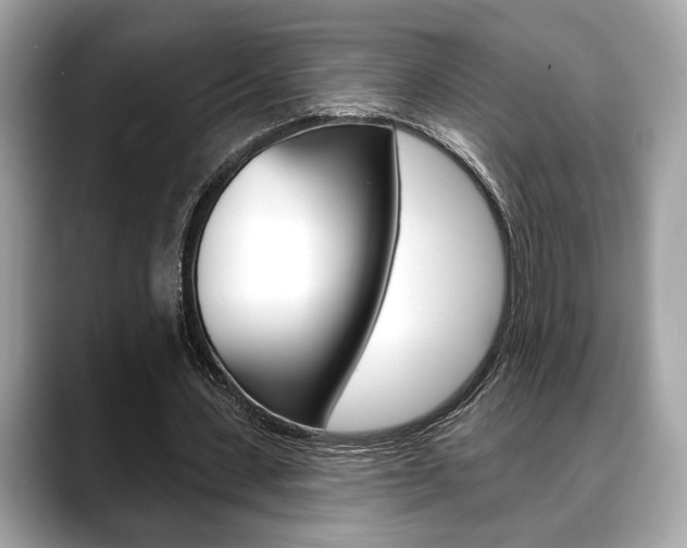 X0000088690531200705311000