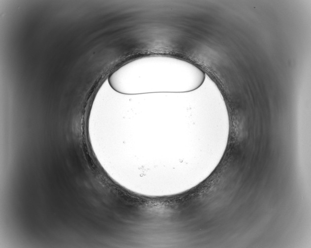 X0000088690534200705311000