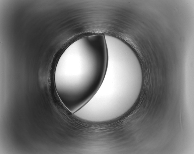X0000088690536200705311000