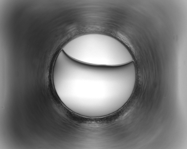 X0000088690538200705311000