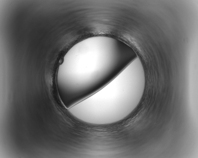 X0000088690539200705311000